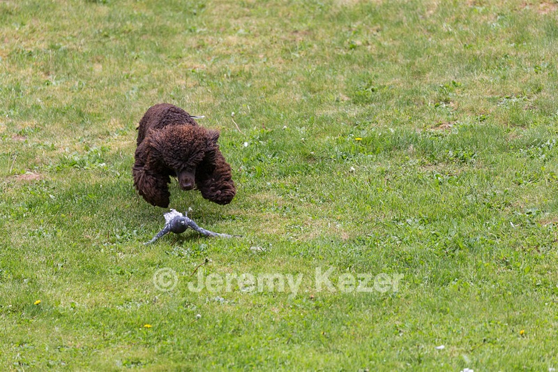 20190512-BD-0014.jpg