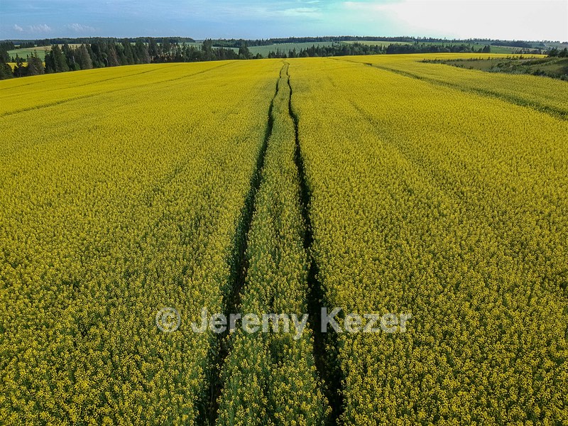 DCIM/101MEDIA/DJI_0119.JPG