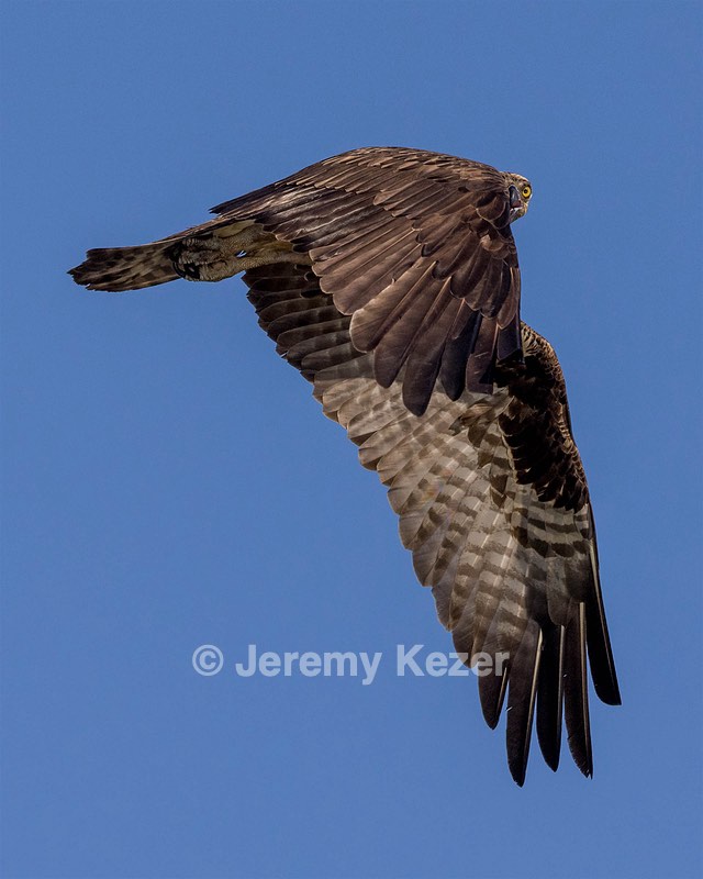 Osprey, Maryland