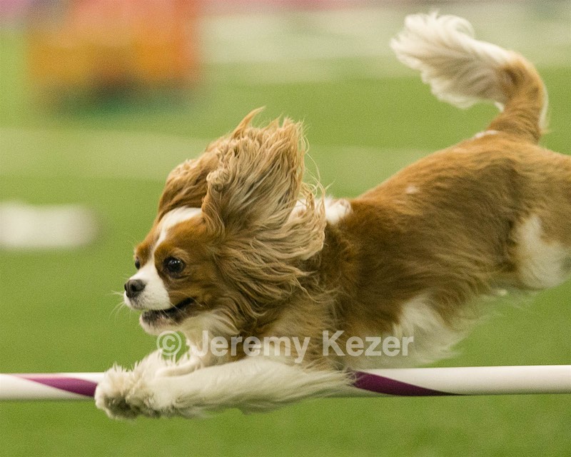 20150321-LEAP-1614.jpg