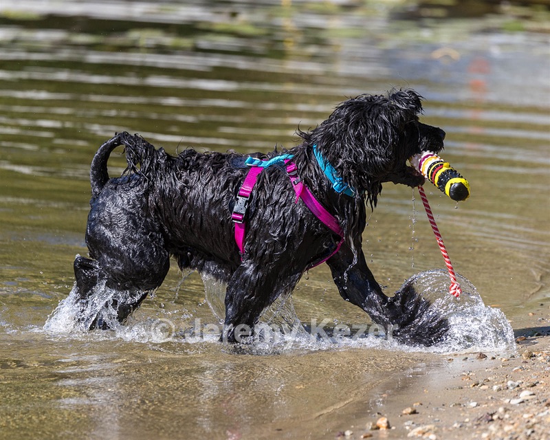 Penny Toby-Ann