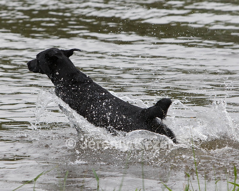 20080531-HRW-0489.jpg