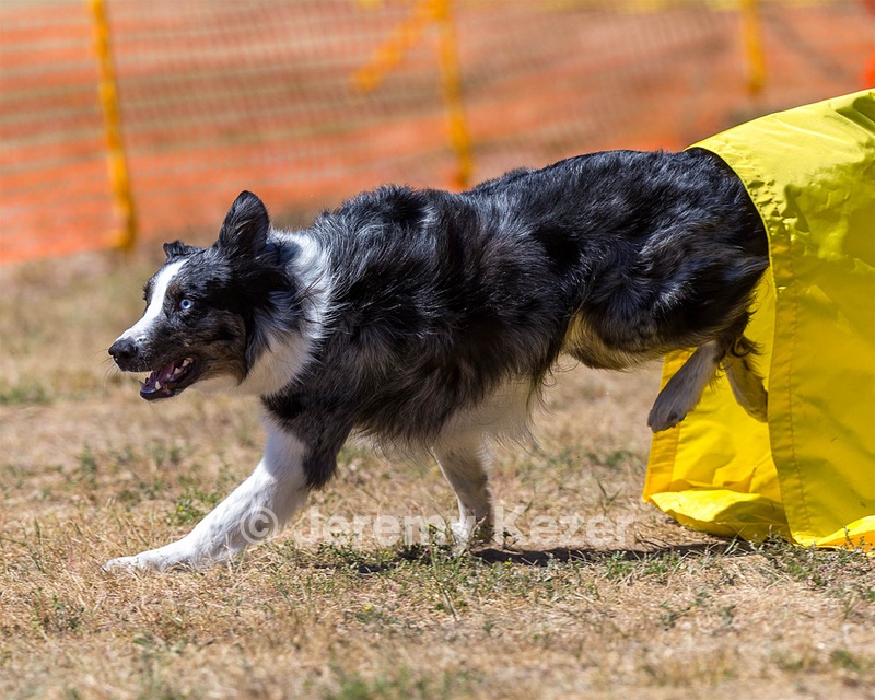 20160619-CCKC-1699.jpg