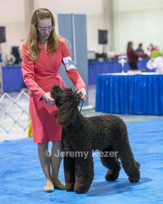 10 - Poole's Ide Touch Of Mink (Darla)