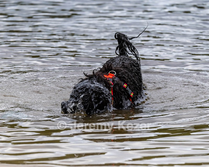Ziva Hyres