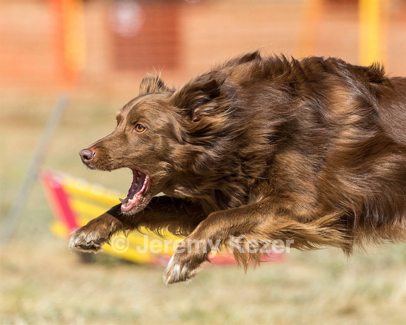 20160619-CCKC-1785.jpg