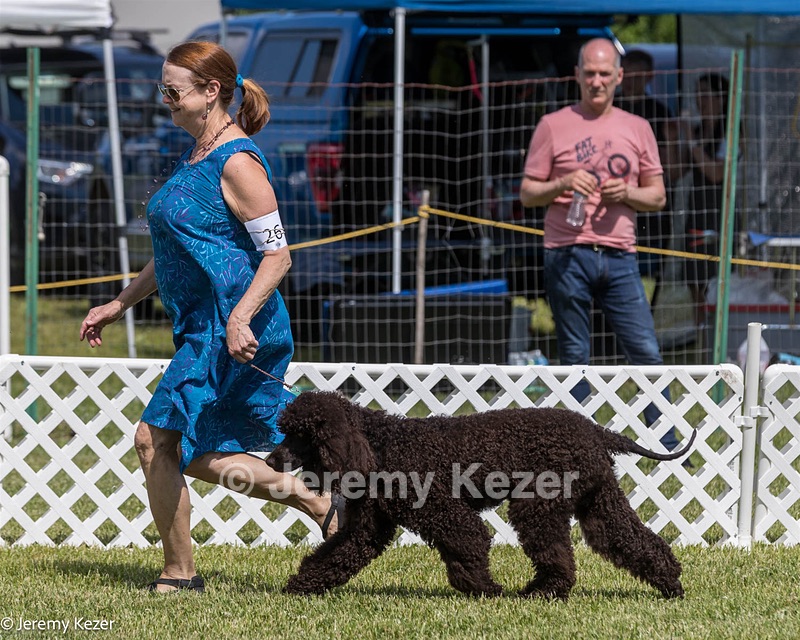 26 - Riverdance Enya Of Lake Alexander