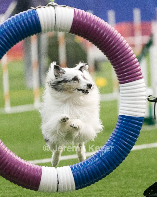 20150322-LEAP-0335.jpg