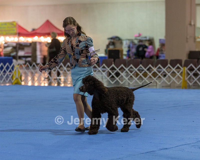10 - Poole's Ide Touch Of Mink (Darla)