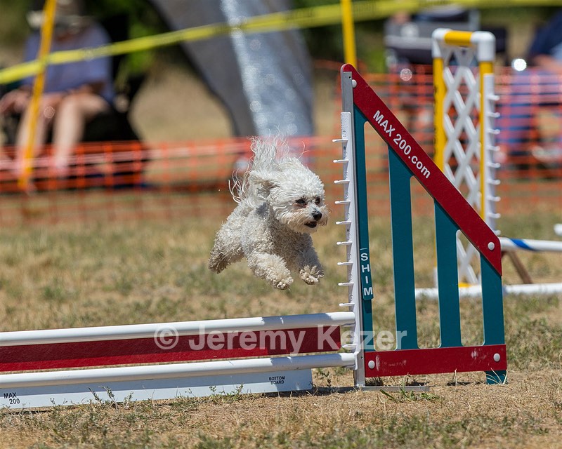 20160619-CCKC-1106.jpg