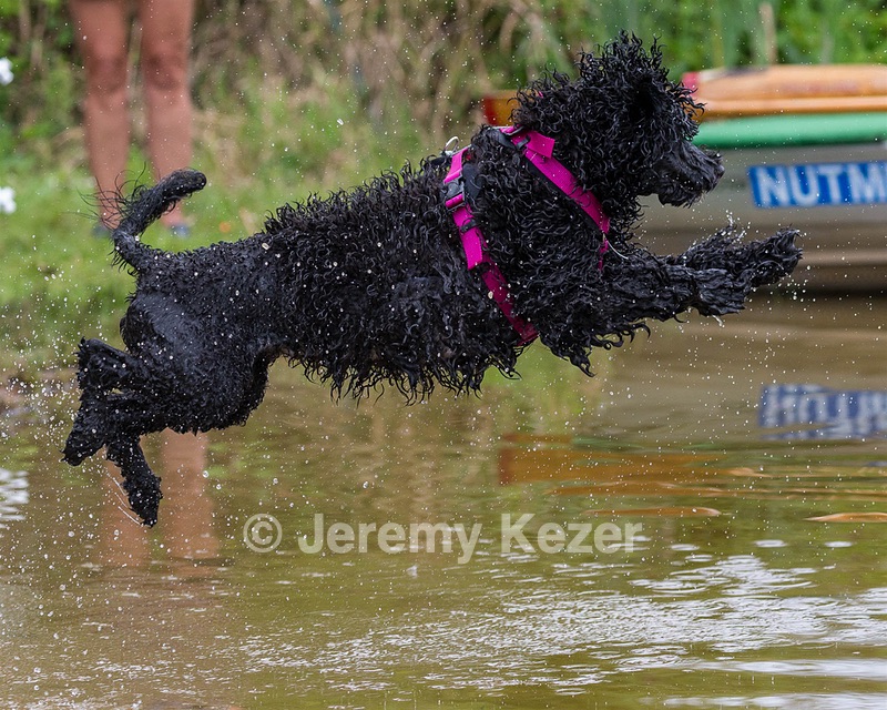 "Tango" & Cathy