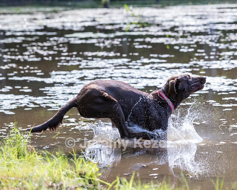 Roxy Fearnley