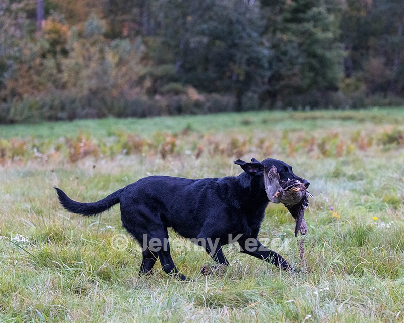 20211010-WCXL-0167.jpg