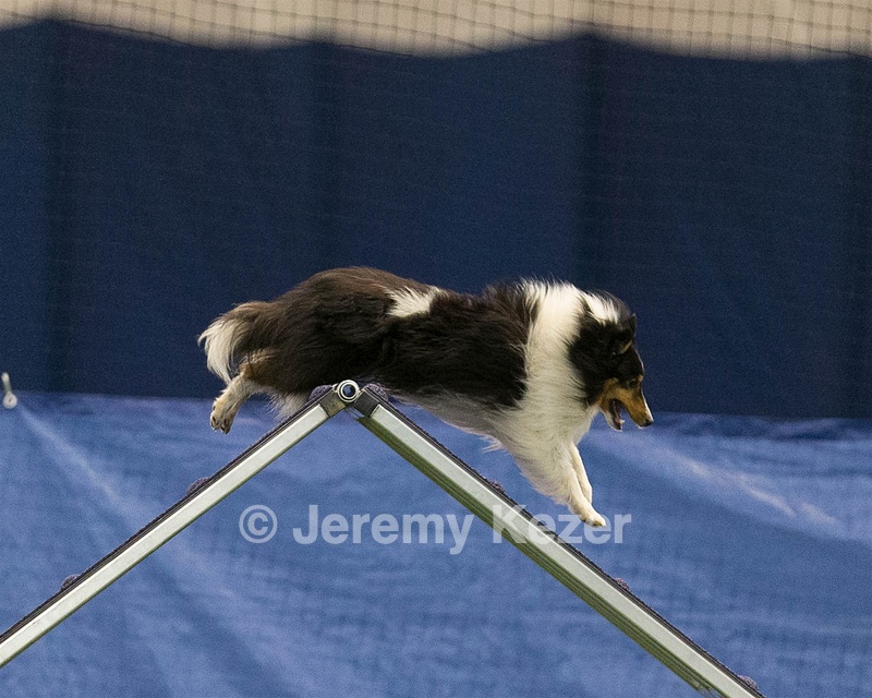20150321-LEAP-1497.jpg