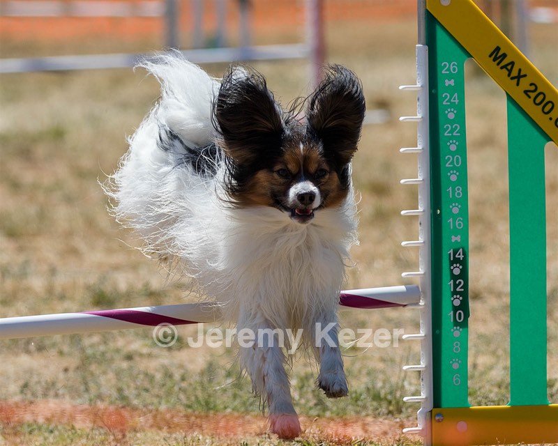 20160618-CCKC-1872.jpg