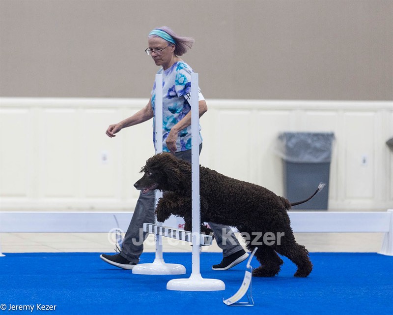 R26 - CH CUBOGLACH ROSY MAPLE RAE CAA BCAT SWME RATS DJ DN CGC TKN FTN