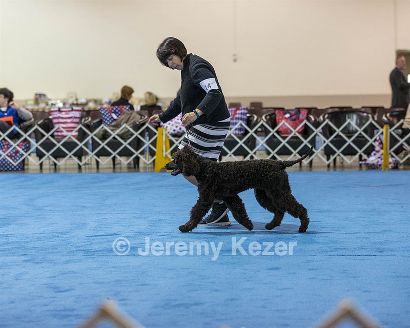 14 - Chantico's Super G O'Muddy Waters (Ghillie)