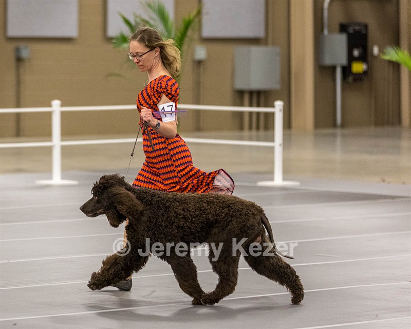 17 - Ballyhoo’s V Finnegan Mcneill BN FDC CA BCAT DS DJ CGCA TKN VHMA JH JHU WD