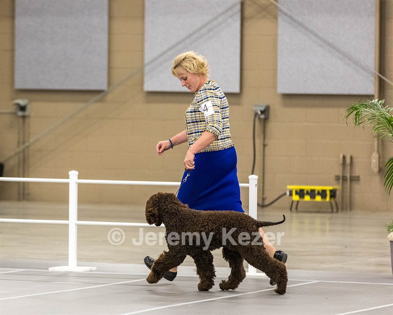 14 - Kendall’s Anyone Can Whistle TKN (Betty)