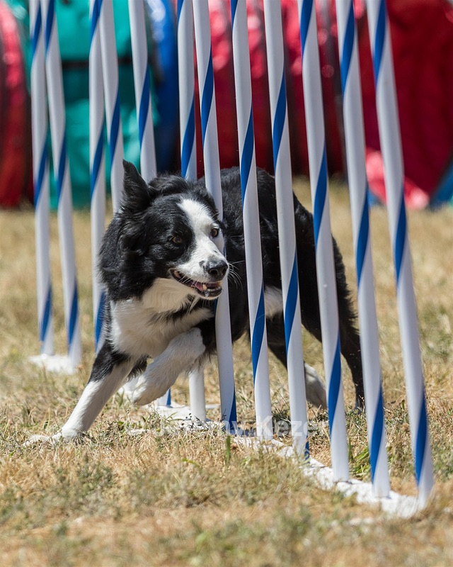 20160618-CCKC-1537.jpg