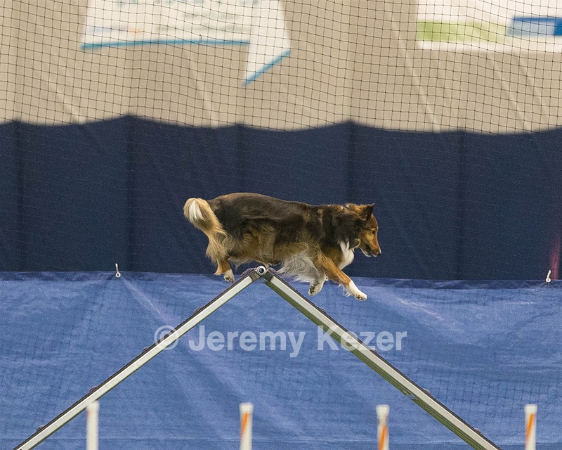 20150321-LEAP-1325.jpg