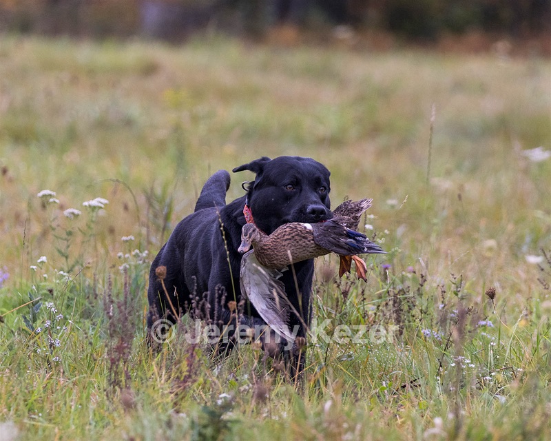 20211010-WCL-0014.jpg