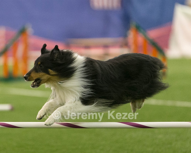20150321-LEAP-1294.jpg