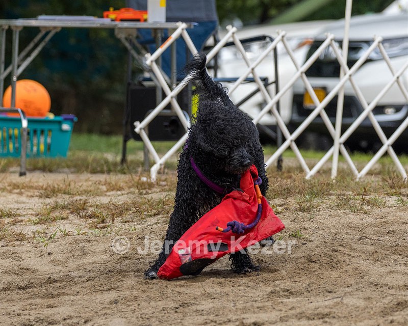 20210912-MWD-0119.jpg