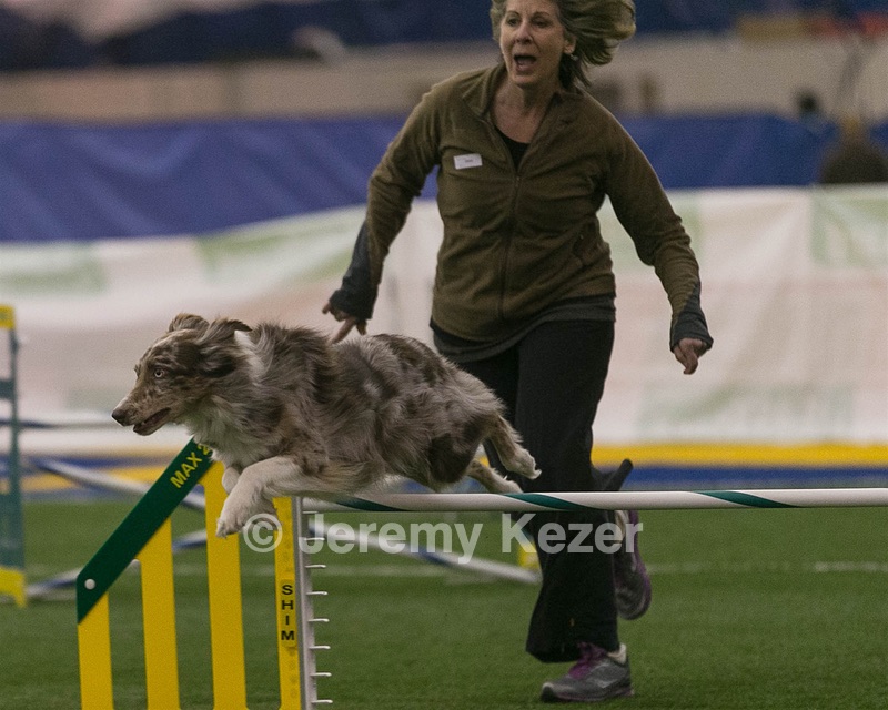 20150321-LEAP-0313.jpg
