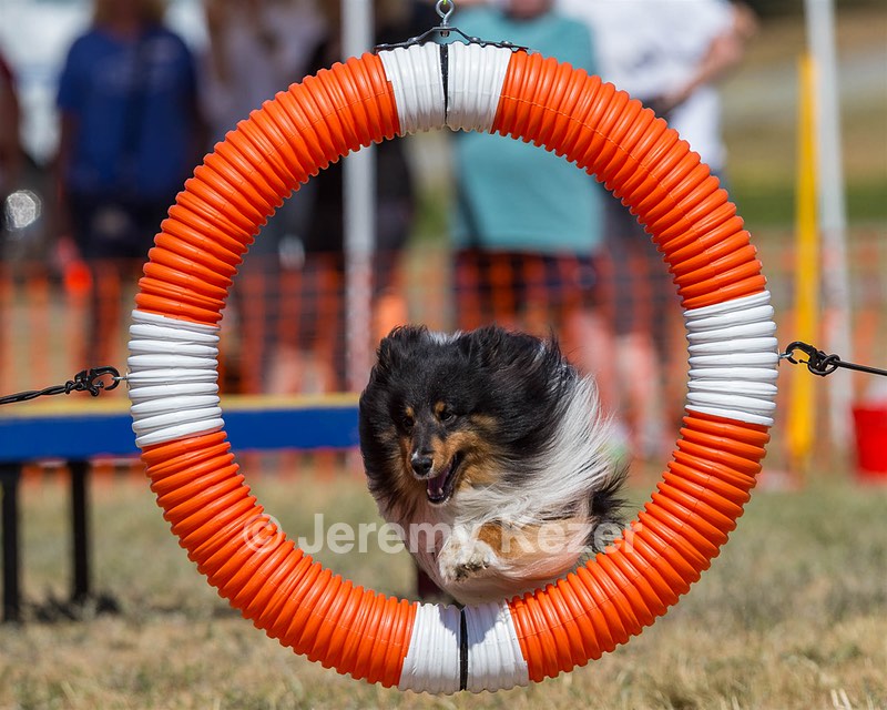 Shorty Timson