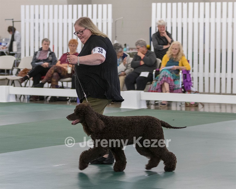 38 - GCH WHISTLESTOP'S ABRACADABRA RN CGC