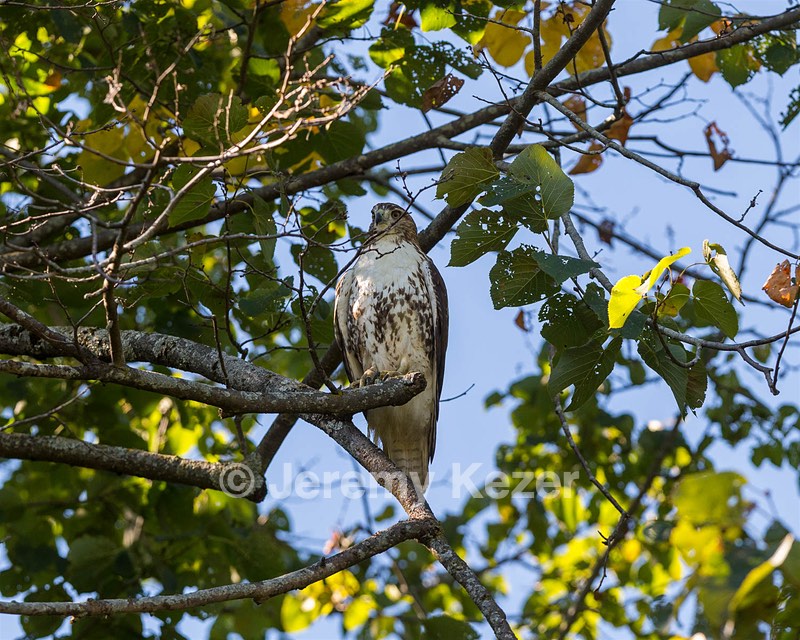 20160925-C-0048.jpg