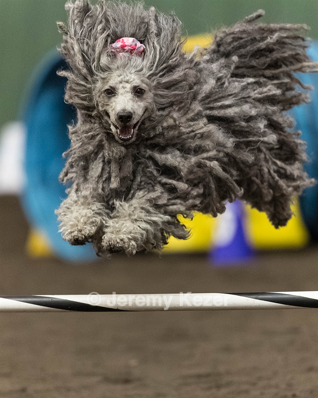 Peetie Sulewski