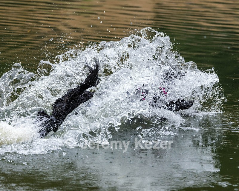 Rio Abruzzzese