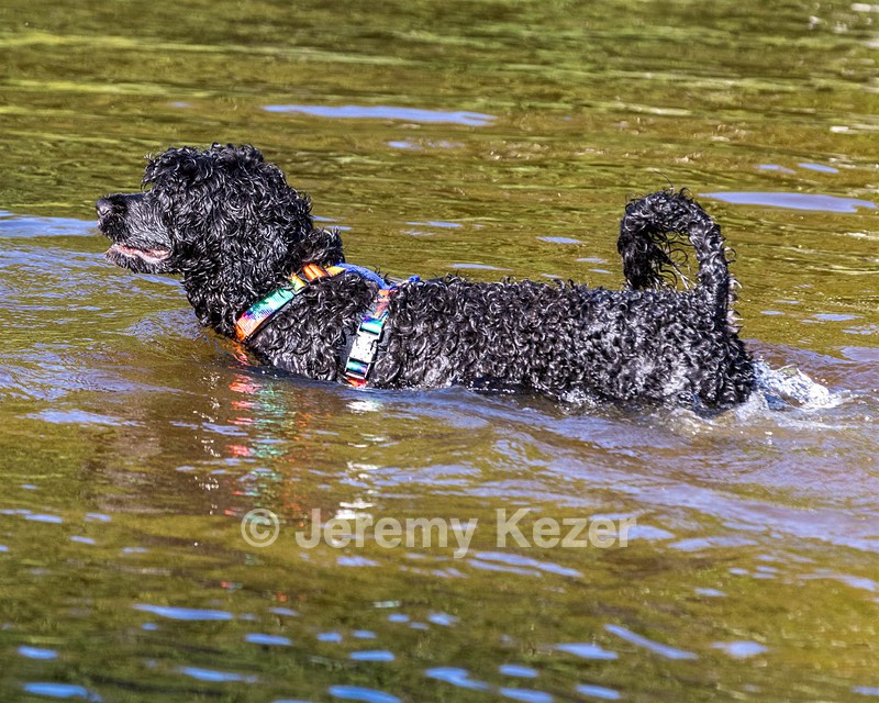 Nattie Annie