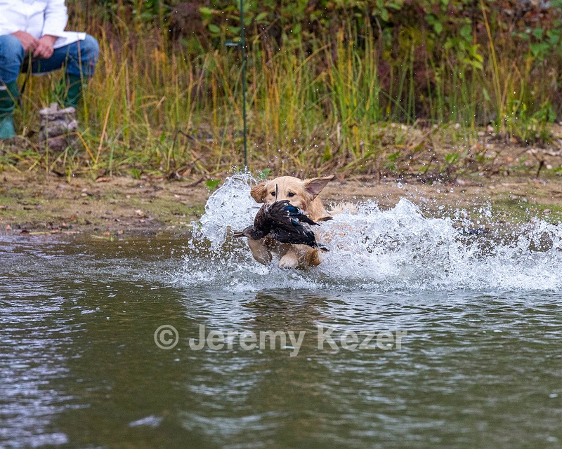 20161008-WCXW-0045.jpg