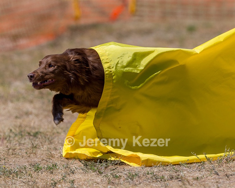 20160619-CCKC-1330.jpg