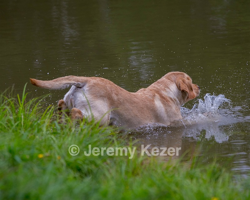 Rose McGroarty