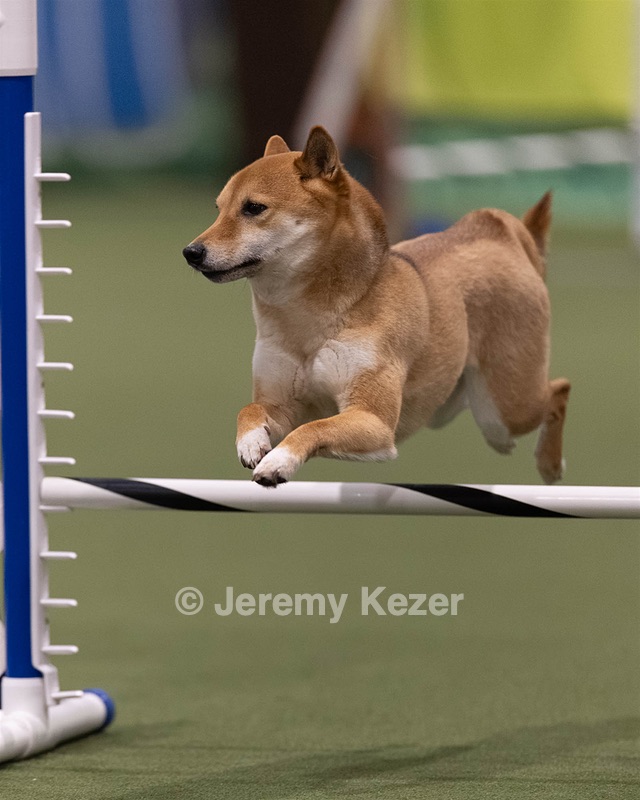 20260221-0054.jpg
