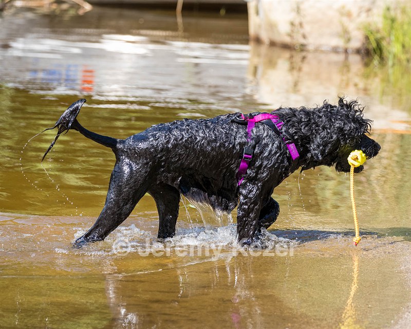 Winnie Patrice