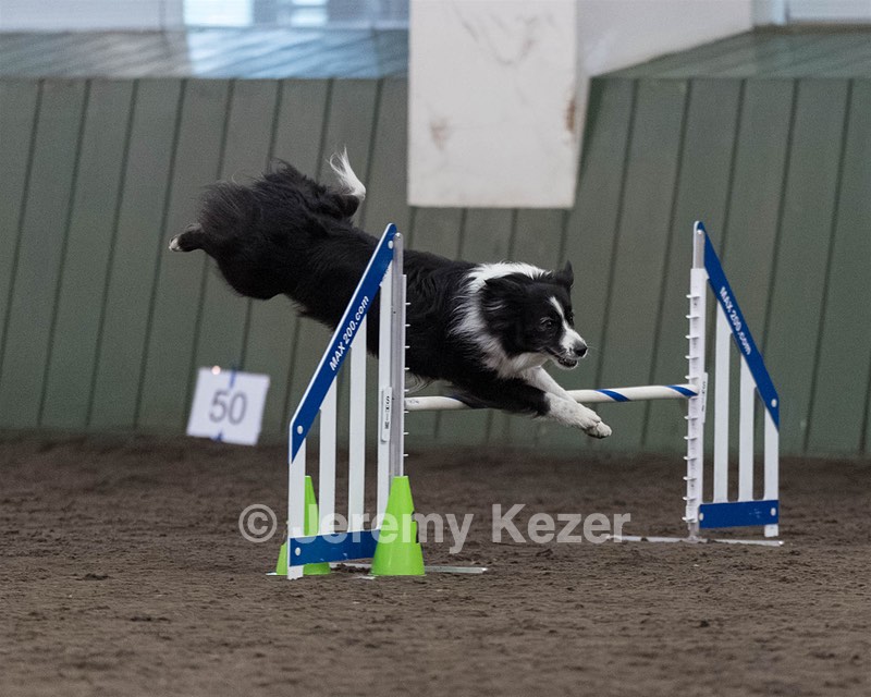 Breeze Schunk