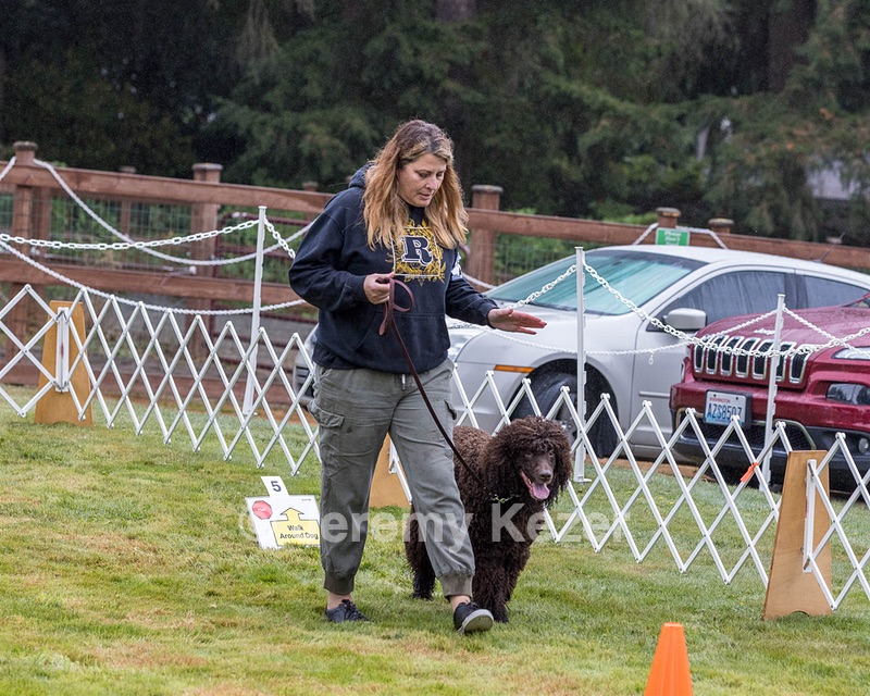 2204 - GCH CH BREKKON'S FIRST MARK CGC