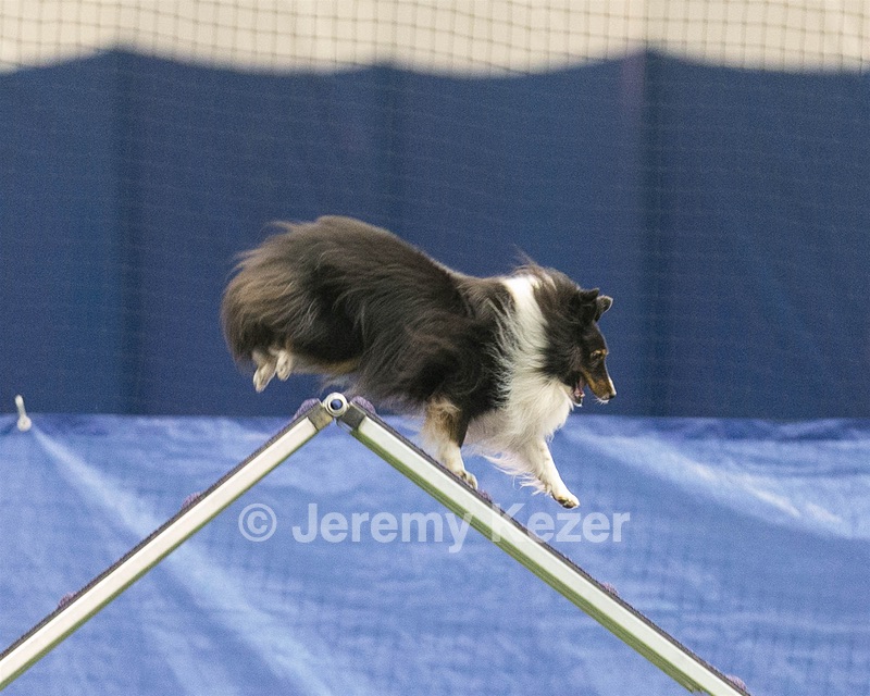 20150321-LEAP-1661.jpg