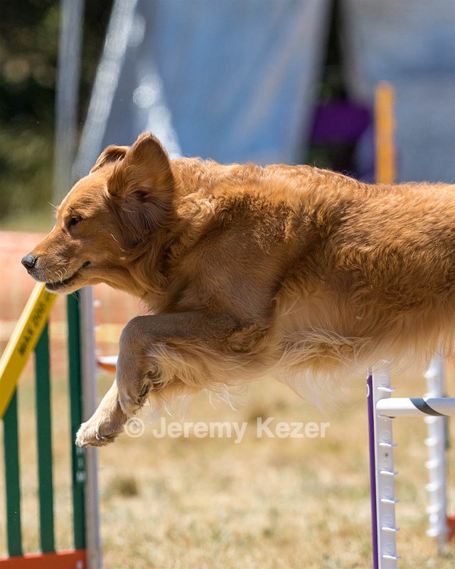 20160618-CCKC-1333.jpg