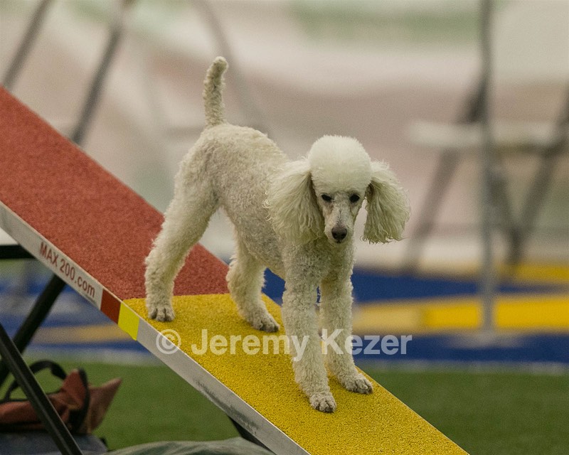 20150321-LEAP-1556.jpg