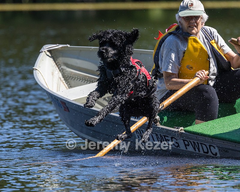 Swizzle Kennedy