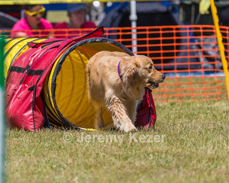 20190615-CCKC-1060.jpg