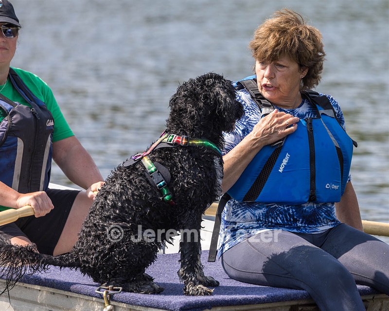 Gabi Robinson