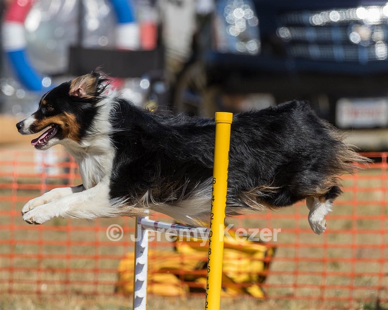 Kona Destremps