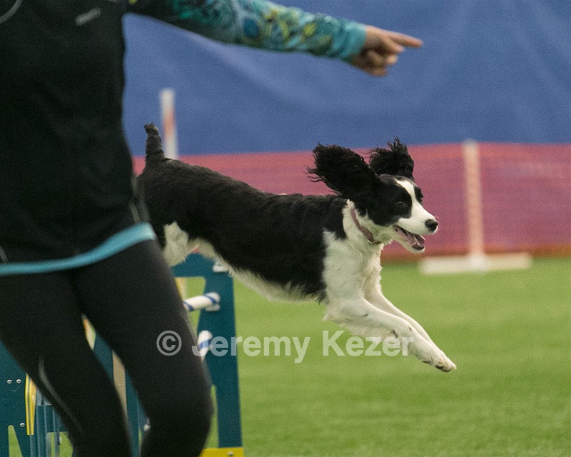 20150321-LEAP-0799.jpg